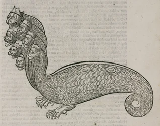 Hydra