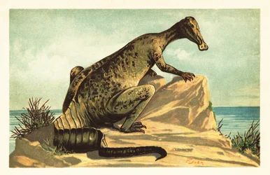 Trachodon mirabilis, wymarły dinozaur hadrozaura.1908 (litografia)