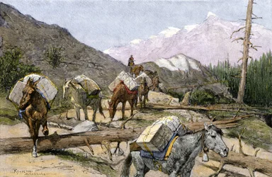 Transport zaopatrzenia i futer na koniu w Górach Skalistych, USA. Z ilustracji Frederica Remingtona. Pociąg przewożący zapasy lub futra przez Góry Skaliste