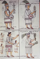 Tzapotlatena, Chalchiuhtlatonal, Cioapipitli i Tliltecuhtli, Kodeks florencki, wersja dwujęzyczna w języku hiszpańskim i nahuatl, Ogólna historia rzeczy Nowej Hiszpanii, Aztec