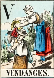 V Vendanges - "Alfabet folwarczny" koniec XIX w. (rycina)