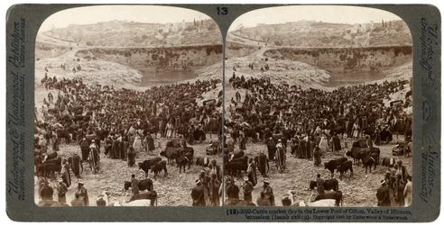 Dzień targu bydła, w dolnym basenie Gihon, Dolina Hinnoma, Jerozolima, Palestyna, 1900.