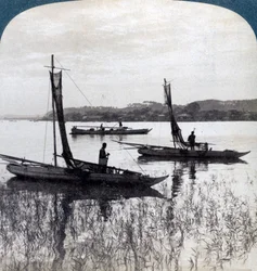 Kutry rybackie wracają do domu o zachodzie słońca, niedaleko Jokohamy, Japonia, 1904.