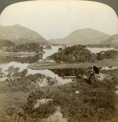 Wyspy i Upper Lake, Killarney, Irlandia.