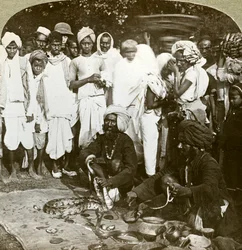 Zaklinacz węży, Kalkuta, Indie, ok. 1900.