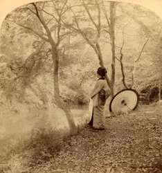 Złote Dni Jesieni w Japonii, 1896.