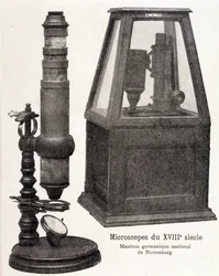 Mikroskopy z XVIII wieku: Germańskie Muzeum Narodowe w Norymberdze.