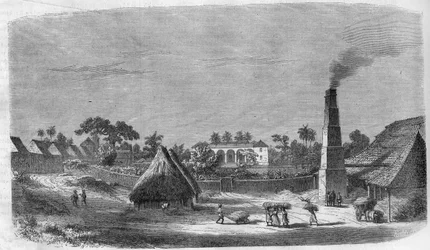 Fabryka cukierków na Kubie w 1869 roku.