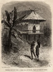 Para Indian z Rio Verde (Brazylia) mężczyzna z sarbakanem przed typowym domem na palach. Rycina ilustrująca podróż do Nowej Granady, autorstwa dr Saffray, w 1869, opublikowana w „” Le tour du monde””” 1873, pod redakcją Edouarda Chartona, e