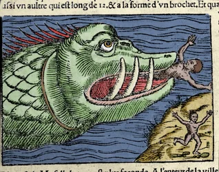 Morski potwór bije pływaka u wybrzeży Norwegii. Grawer Olausa Magnusa (1490 - 1557), szwedzkiego zakonnika i geografa, „Historia de Gentis Septentrionalibus”, Wenecja