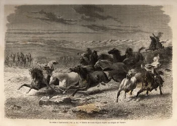 Rodeo w Lauramarca (Dolne Peru), schwytanie dzikich koni, przed ich żelaznym oznaczeniem inicjałami właściciela regionu, uważanego za kompletne widowisko, zgromadziło wielu badaudów. Grawerowanie ilustrujące podróż w dolinach Quinquin
