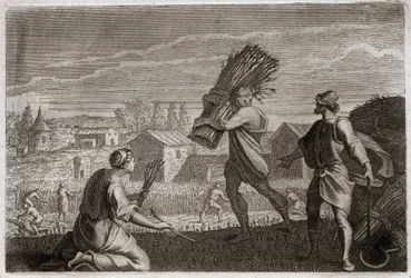Biblia Royaumont, Stary Testament: Rut podąża za swoją teściową Noemi (Noemi, Noemi) w ziemi Judy i żniwa pola pszenicy Boaz (Boaz). Ilustracja z 1811 roku.
