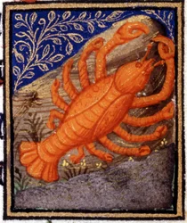 Nowotwór. Miniatura horoskopu. Rękopis z XV wieku. Biblia Trivulziana, Mediolan.