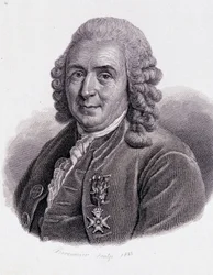 Carl Von Linné Szwedzki przyrodnik i pisarz (1707 - 1778) - w „Portrecie pożytecznych ludzi””