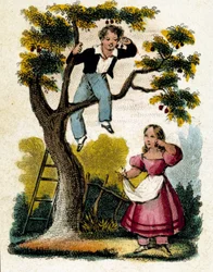 Zbieranie wiśni - chrom., koniec XIX w.