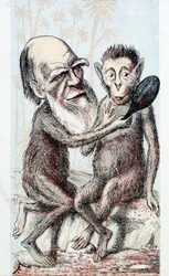 Komedia nawiązująca do teorii Darwina - w „London Sketchbook”