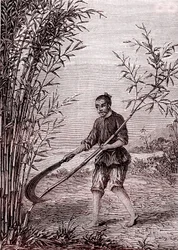Cięcie bambusa, produkcja papieru w Chinach (III wiek p.n.e.) (rycina)
