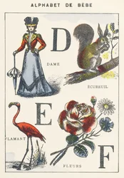 D E F: pani, wiewiórka, flaming, kwiaty