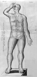 De Acupunctura autorstwa W.Ten Rhijn. Londyn 1683. Pierwszy zachodni tekst dotyczący akupunktury.