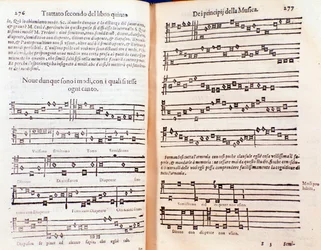 Podwójna strona z The Philosophical Daisy Gregora Reischa (1600)