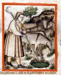 Esa pasie osły - Pięcioksiąg. Miniatury z kodeksu 212 (lub Kodeks Padovano lub Biblia z Padwy) 1390-1400 Rovigo, Accademia dei Concordi
