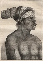 Wyprawa Antoine Bruny (Bruni) d