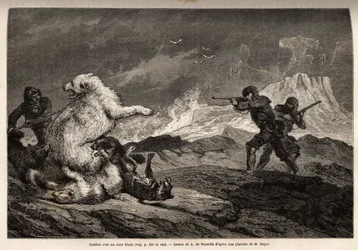Walcz z niedźwiedziem polarnym chroniącym jej dziecko, sfora psów atakuje ją i myśliwych, broń karabinowa, czekaj na odpowiedni moment, by ją zastrzelić. Grawerowanie ilustrujące podróż na wolne morze bieguna arktycznego autorstwa doktora Hayesa, chirurga 