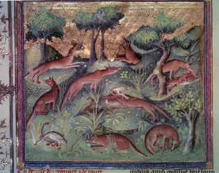Drób polujący na lisy. Miniatura z rękopisu „Le livre de la chasse” (folio 34v) Gastona Phoebusa (1331-1391) dit Gaston III Comte De Foix