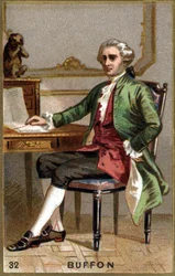 Georges Louis Leclerc, hrabia Buffon (1707-1788). XIX-wieczna chromolitografia.