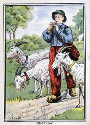 Goat: Koziarz grający na pipocie.