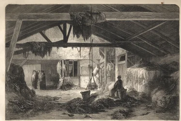 Mieszkanie kupca szmat przy rue de la Montagne Sainte Genevieve w Paryżu w 5. dzielnicy. grawerunek z 1861 r