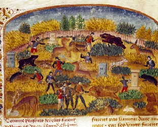 Miniatura sceny myśliwskiej zaczerpnięta z „Księgi faktów Aleksandra Wielkiego” Kwintusa Curtiusa Rufusa (Quinte Curce) (I w.), ok. 1468 r. (Ms 1335) Reims. Biblioteka Miejska