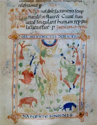 Podświetlana strona owiec i pasterzy, część Kodeksu Varmondo, C.1000
