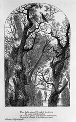 Ilustracja do „Ody do słowika” poety Johna Keatsa (1795-1821) XIX wiek