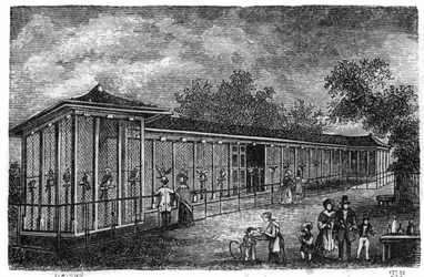 Jardin des Plantes w Paryżu w 1861 r.: sokolnictwo.
