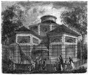 Jardin des Plantes w Paryżu w 1861 r.: rotunda słoni i żyraf.