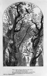 John Keats: Oda do słowika