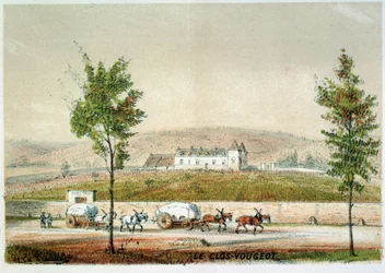 Le clos Vougeot, winnica Cote d