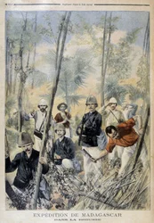 Wyprawa Madagaskar: w buszu - w „Le Petit Journal”, sierpień 1895 r.