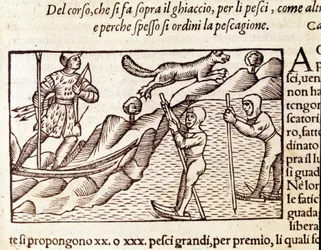 Norwescy myśliwi poruszający się po nartach. rycina Olausa Magnusa (1490 - 1557), szwedzkiego zakonnika i geografa, „Historia de Gentis Septentrionalibus”, Wenecja