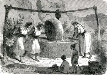 Młyn do mielenia oliwek w Algierii 1885