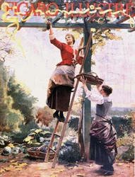 Zbieranie winogron w zawieszonych winoroślach - w „”Figaro illustré””, październik 1891