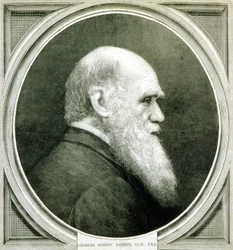 Portret Karola Darwina (1809 - 1882)