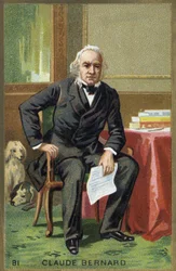 Portret Claude Bernard (1813-1878), francuski fizjolog.