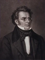 Portret Franza Schuberta (rycina)