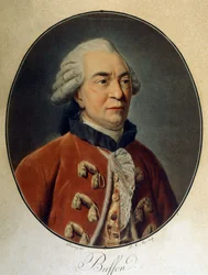 Portret Georgesa Louisa Leclerca, hrabiego Buffon (1707 - 1788), francuskiego przyrodnika i pisarza.