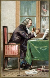 Portret Louis Jean Marie Daubenton, dit Daubenton (1716 - 1800), francuski przyrodnik. Chromolitografia XIX wieku.