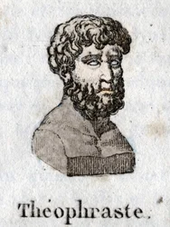 Portret Teofrasty (372 pne-287 pne), greckiego filozofa.