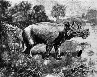 Prehistoria: przedstawienie czterorożnego dinozaura Uintatherium.