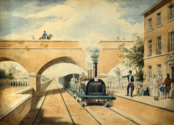 Czerwony Jeleń, ok. 1850 r. (akwarela na papierze)
